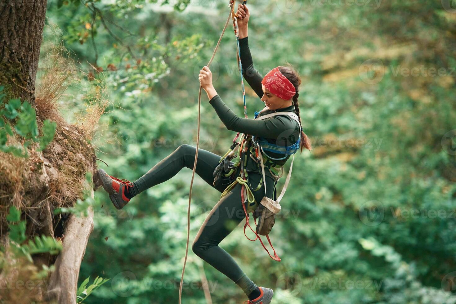 View from the side, hanging on, th,e rope. Woman is doing climbing in the forest by the use of safety equipment photo