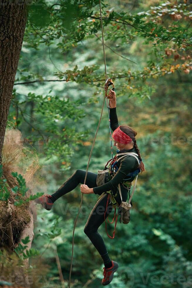 In sportive clothes, high up on the rope... Woman is doing climbing in the forest by the use of safety equipment photo