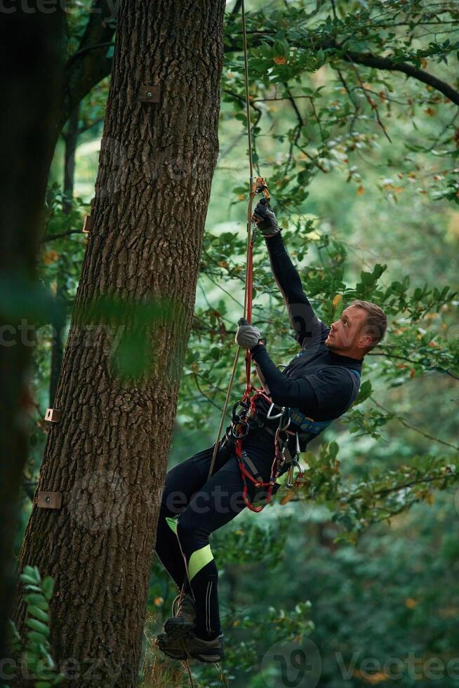Side view, using ,the, rope, hanging. Man is doing climbing in the forest by use of safety equipment photo