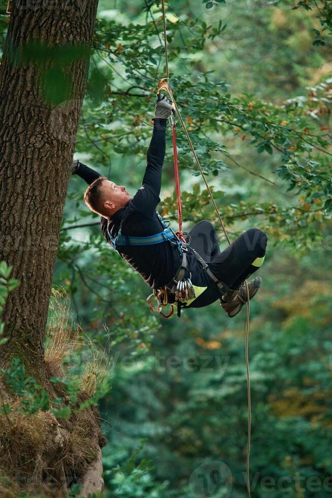 Side view, using the rope, hanging.. Man, is doing climbing in the forest by use of safety equipment photo