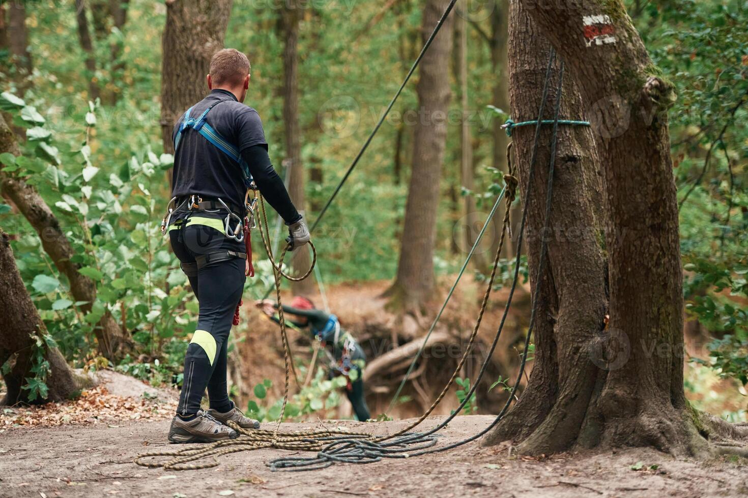 Process of preparing. Man ,is doing climbing in the forest by use of safety equipment photo