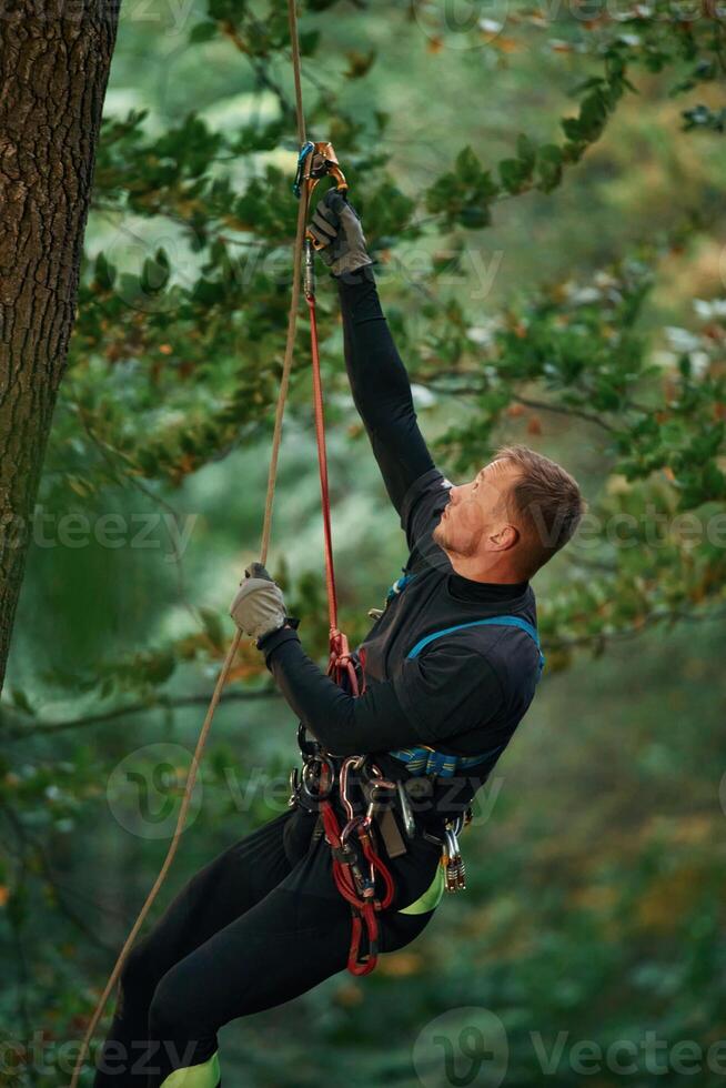 Side view, using the rope, hanging... Man is doing climbing in the forest by use of safety equipment photo
