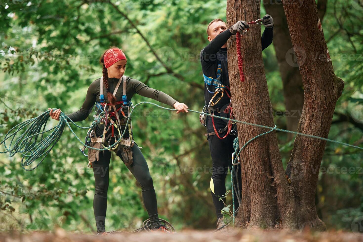 Standing, preparing, the ropes. Man and woman doing climbing in forest with use of safety equipment photo