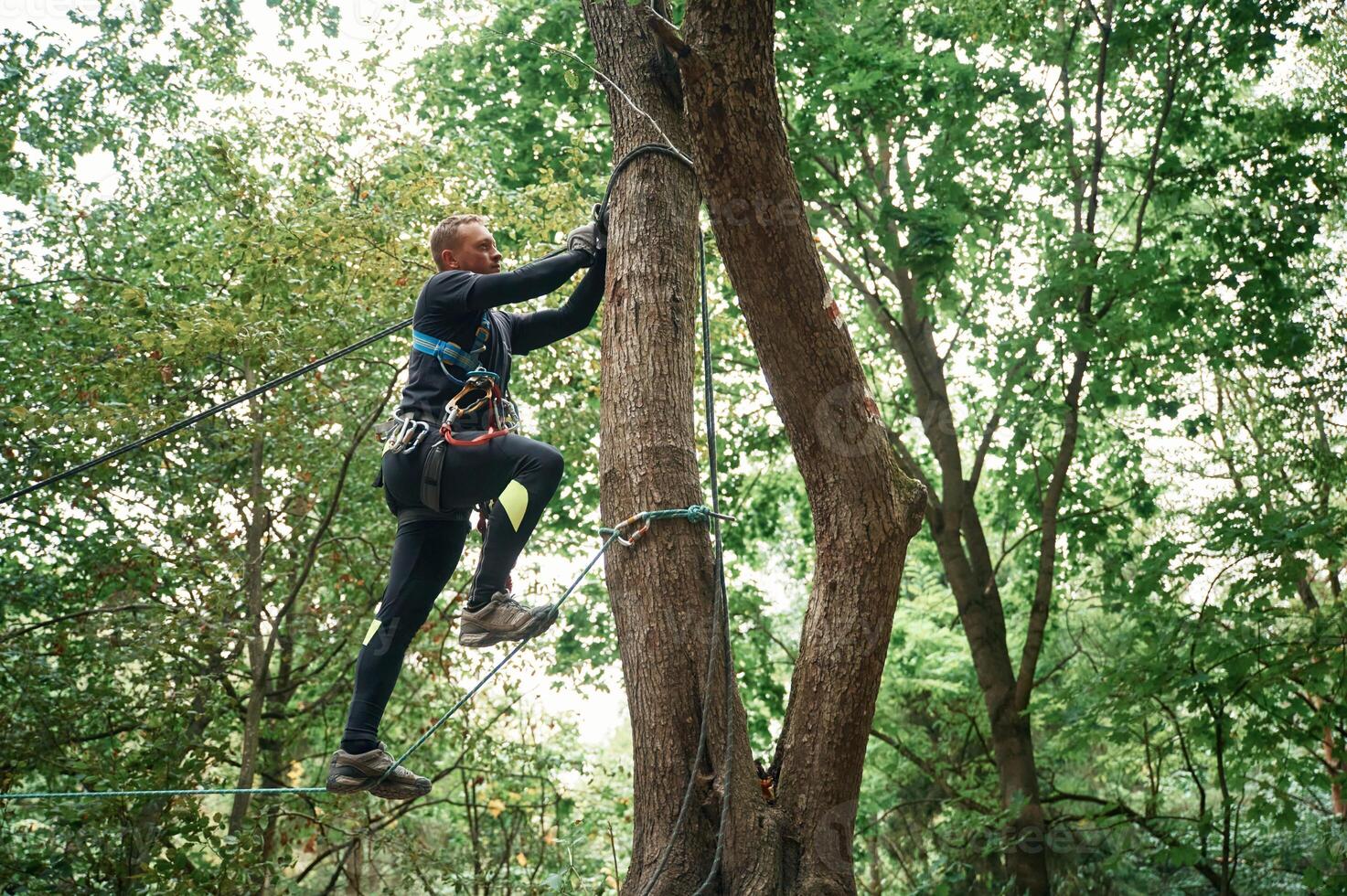 Extreme sports, high up. Man is doing climbing in the forest by use of safety equipment photo