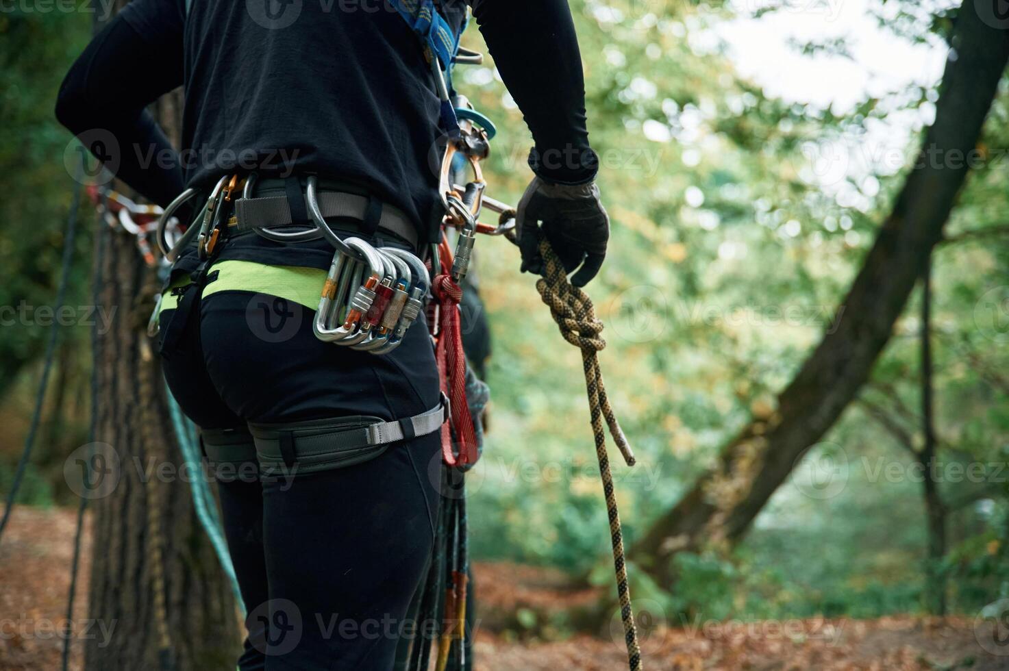 Close, up, particle view. Man is doing climbing in the forest by use of safety equipment photo