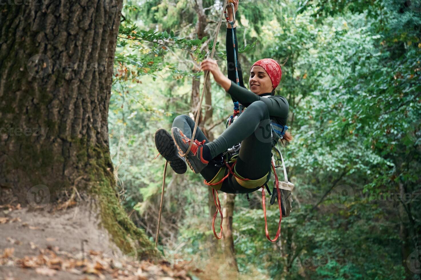 Focused on, the climbing, up. Woman is in the forest, using the safety equipment photo
