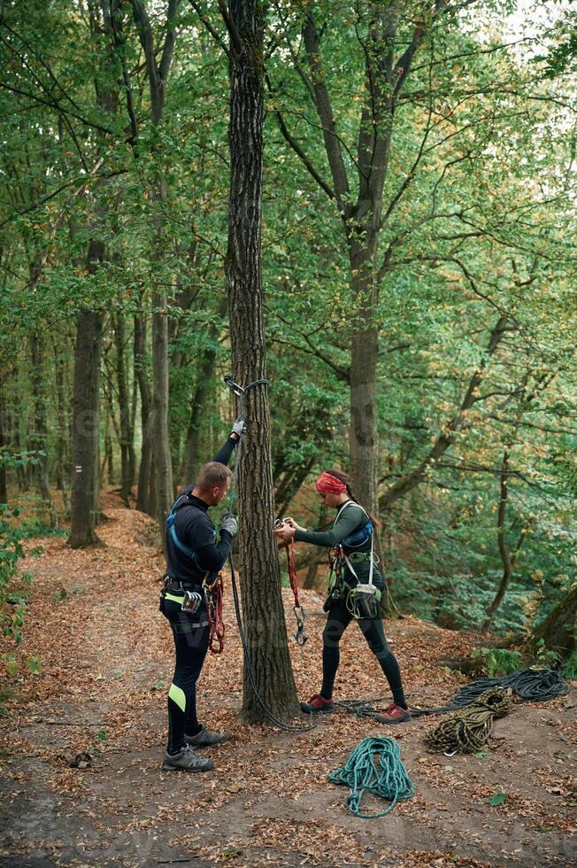 In, the forest. Man and woman doing climbing with use of safety equipment photo
