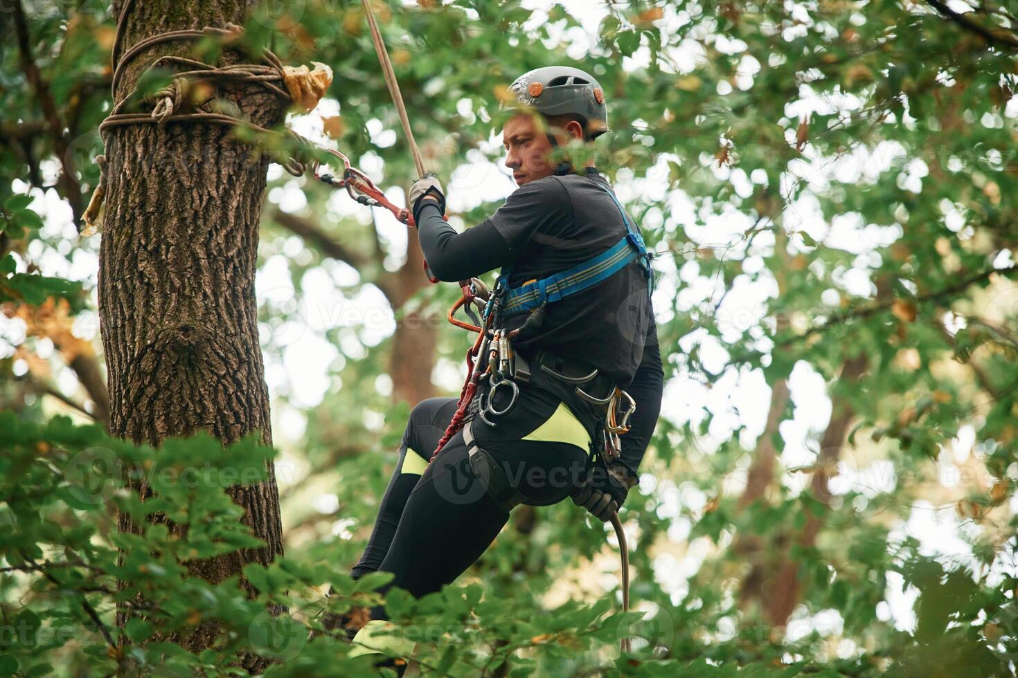 Extreme sports,, high up. Man is doing climbing in the forest by use of safety equipment photo