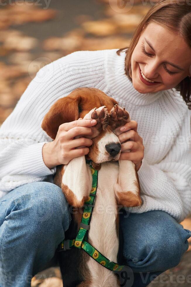 Covering the eyes ,with paws. Young ,woman is with her dog in the park photo