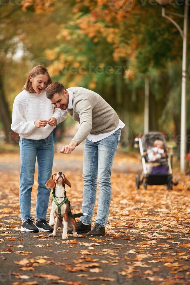 Making the dog stand by back legs, training. Lovely couple are with their cute dog outdoors photo