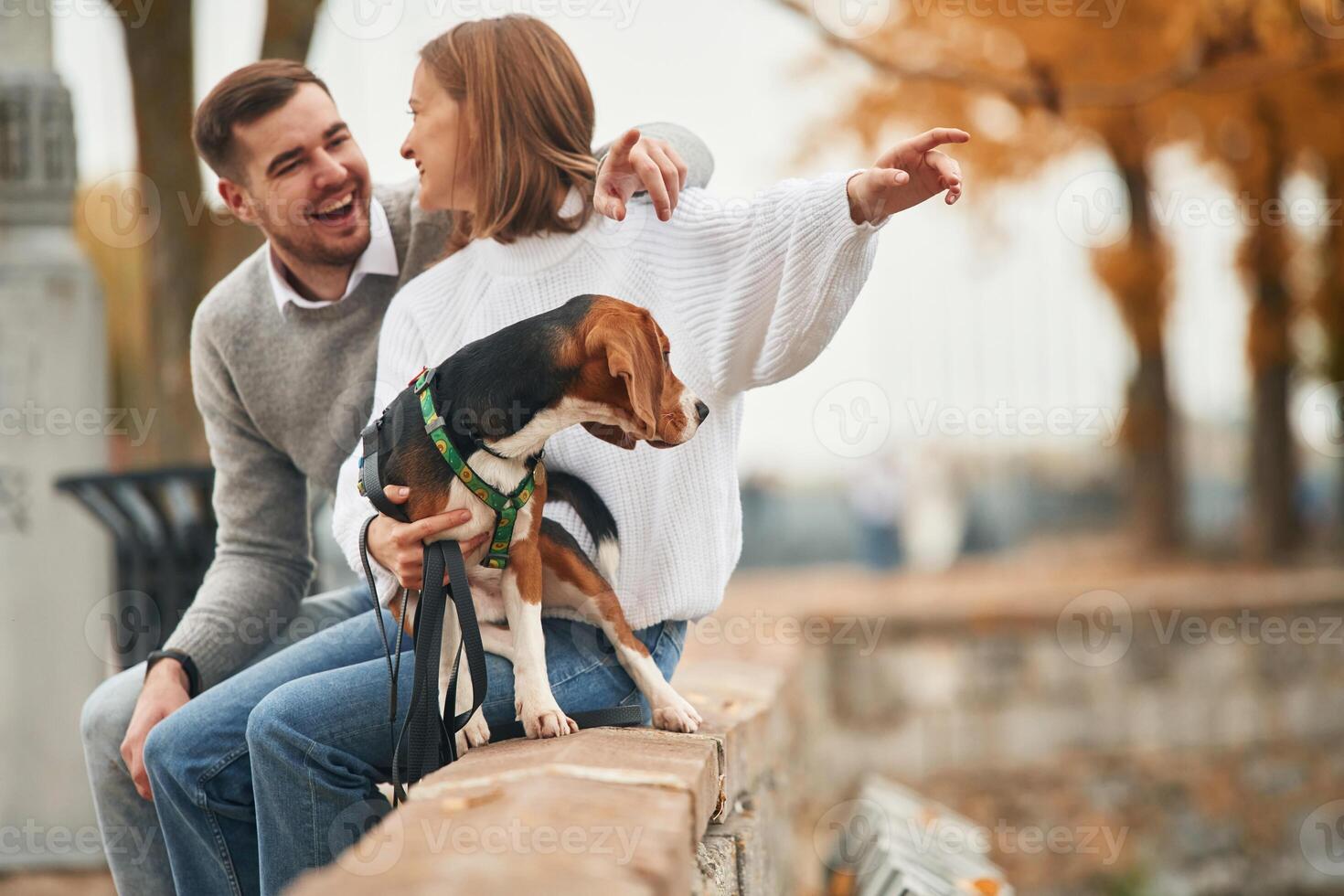 Lovely couple are with their cute dog, outdoors photo