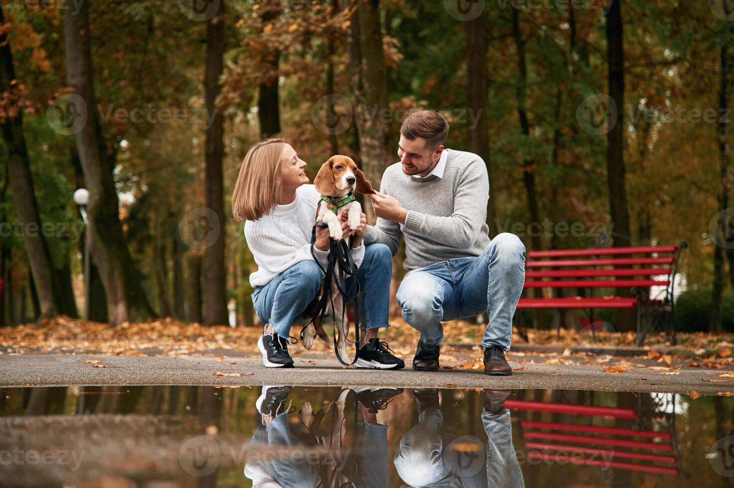 By the puddle.. Lovely couple, are with their cute dog outdoors photo