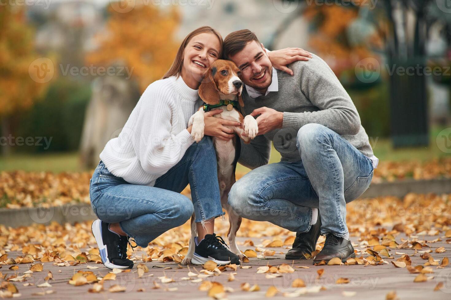 Fallen leaves are on, the ground. Lovely ,couple are with their cute dog outdoors photo
