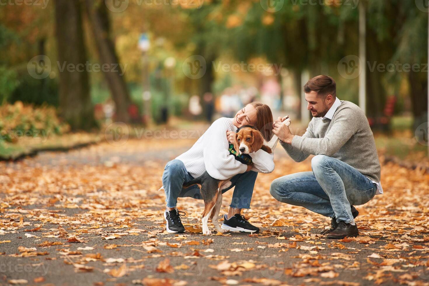 Fallen, leaves are on the ground. Lovely couple are with their cute dog outdoors photo