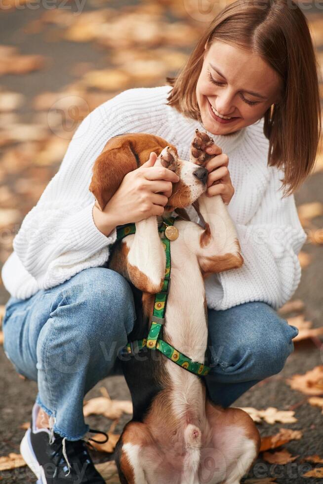 Covering, the eyes with paws. Young woman is with her dog in the park photo