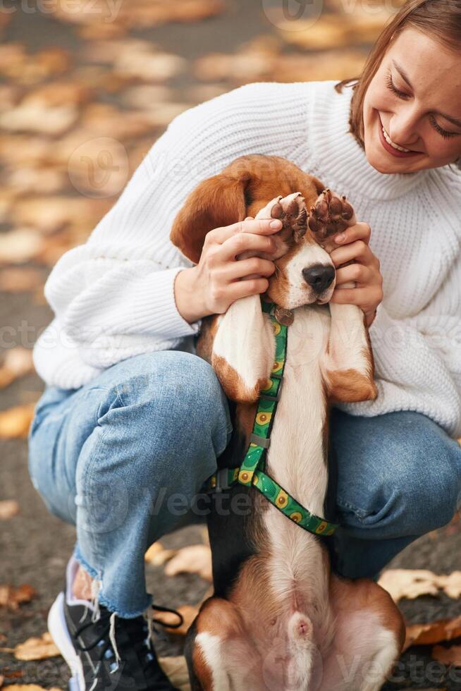 With paws that are covering the eyes. Young woman is with her dog in the park photo