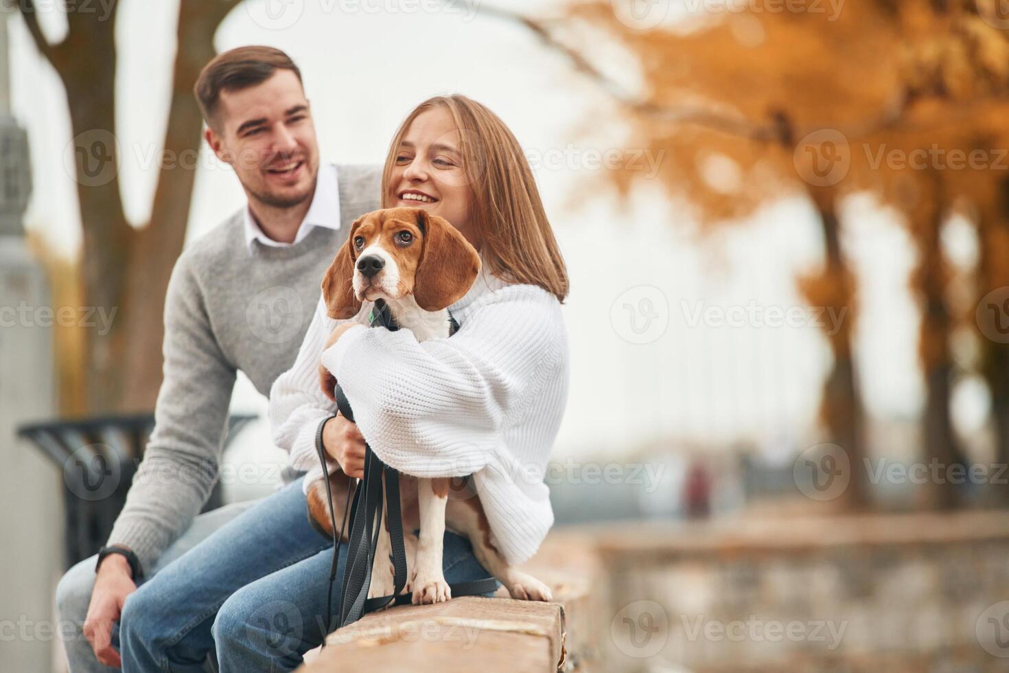 Lovely couple are with their, cute dog outdoors photo