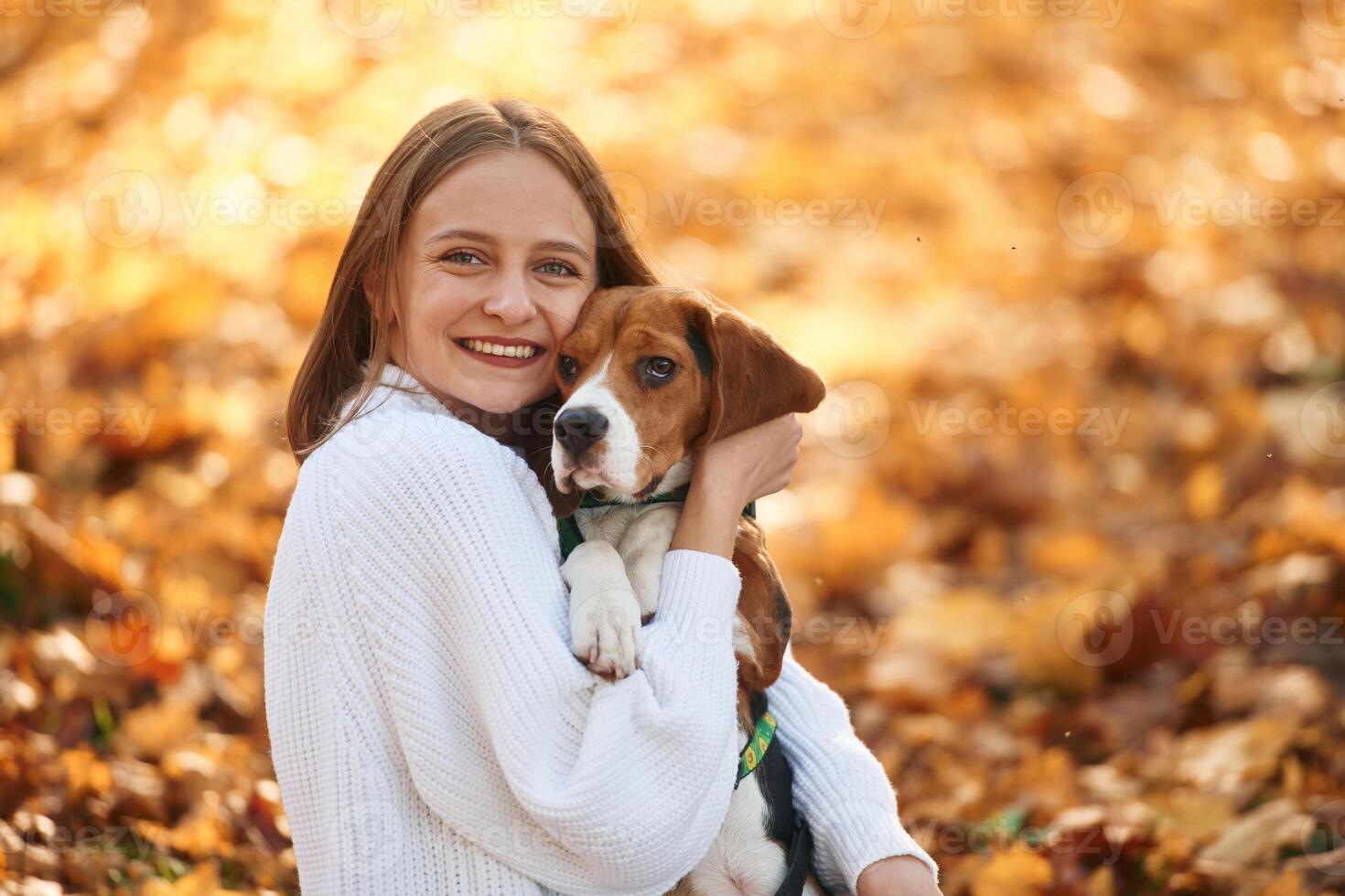 Close up portrait,, embracing animal.. Woman is with her cute dog in the autumn forest photo