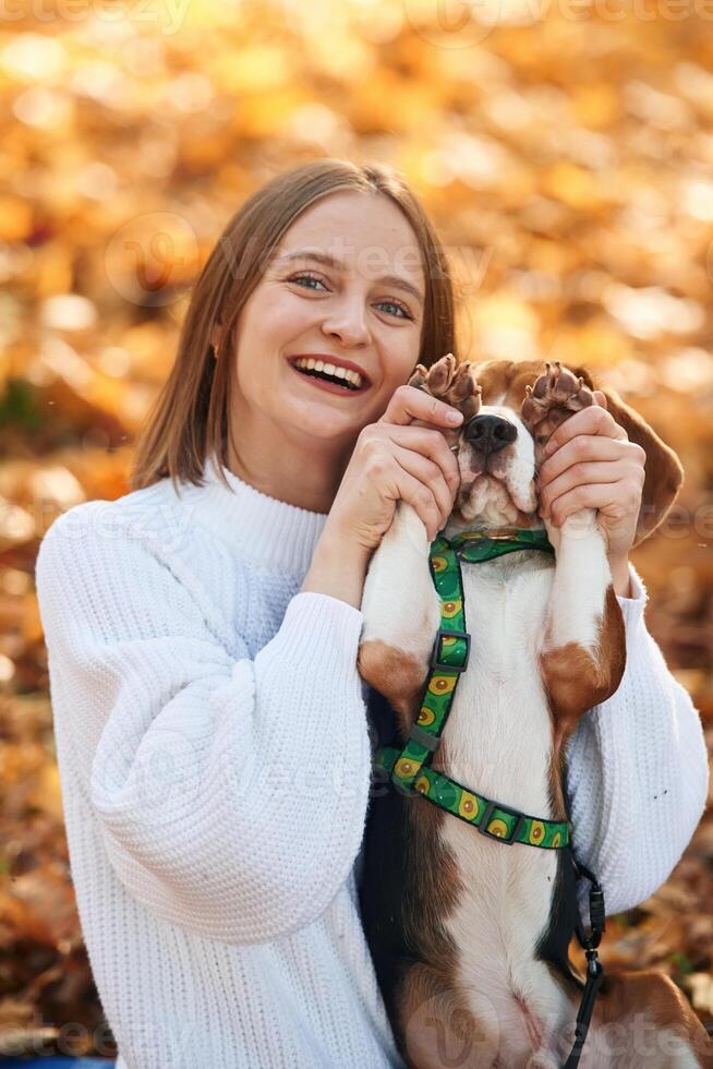 Covering eyes with paws. Woman is with her cute dog in the autumn forest photo