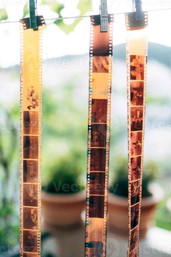 Film strips are hanging outdoors, ready for their development process photo