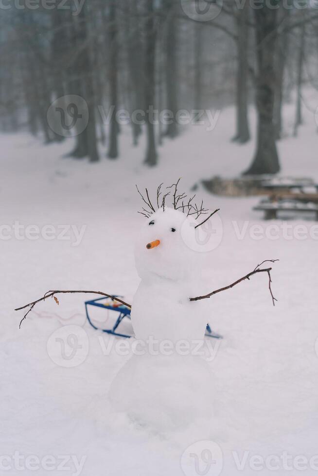 Snowman with stick hair and a carrot nose stands near a sled in a snowy meadow in the forest photo