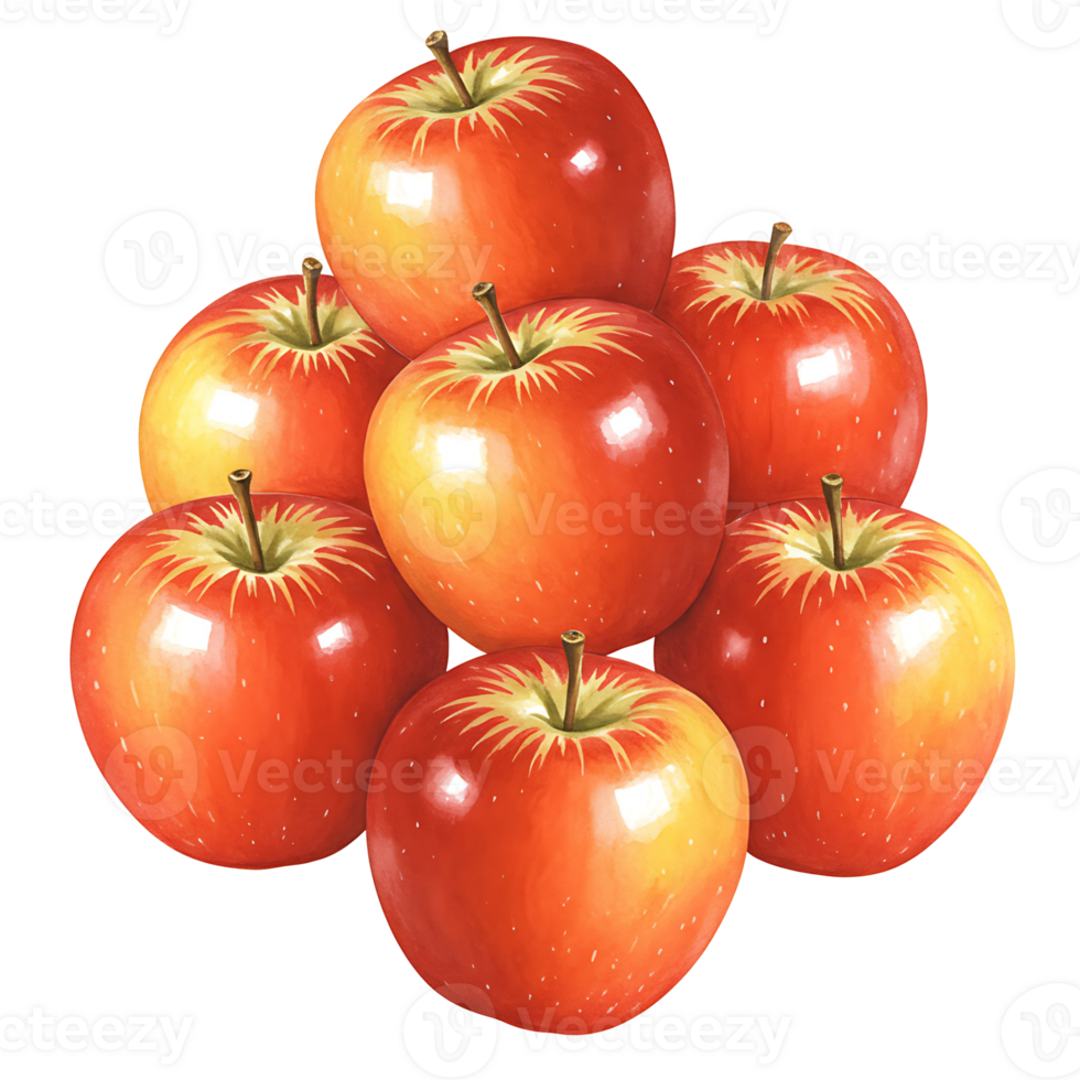 A Watercolor of seven red apples arranged in a pyramid shape against a plain colored backdrop studio shot on transparent background png