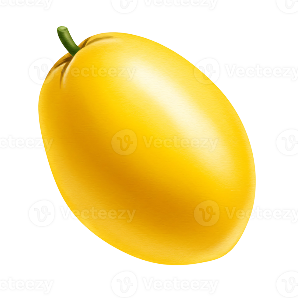 Isolated close up of a vibrant yellow spaghetti squash against a plain solid color space field view on transparent background png