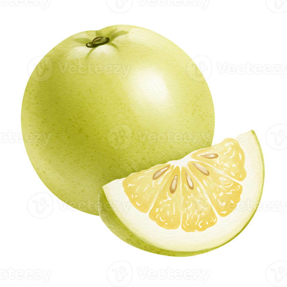 A whole pomelo fruit with a slice showing the inside, presented on a plain, featureless surface area on transparent background png