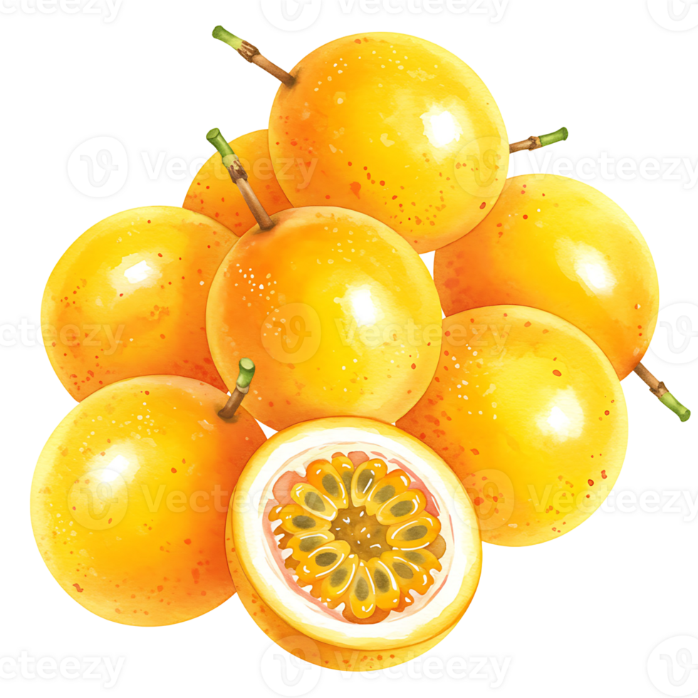 A Watercolor of passion fruits stacked together with one cut open showing the pulp and seeds inside the fruit on transparent background png