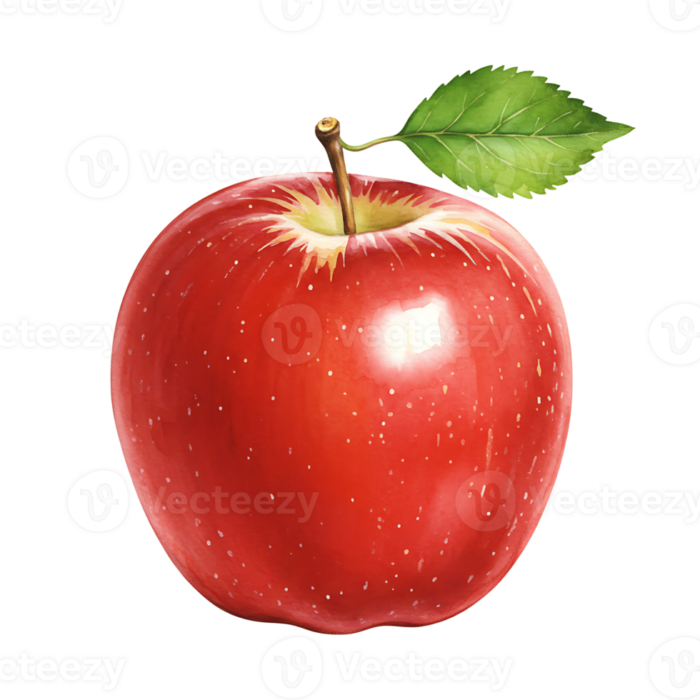 A vibrant red apple with a Watercolor green leaf against a plain backdrop in a studio setting view on transparent background png