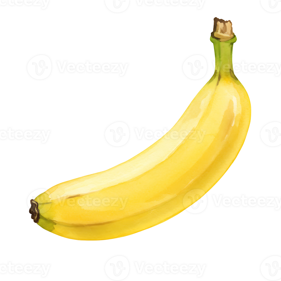 A Watercolor yellow banana with a green stem isolated on a plain surface in a studio setting view on transparent background png