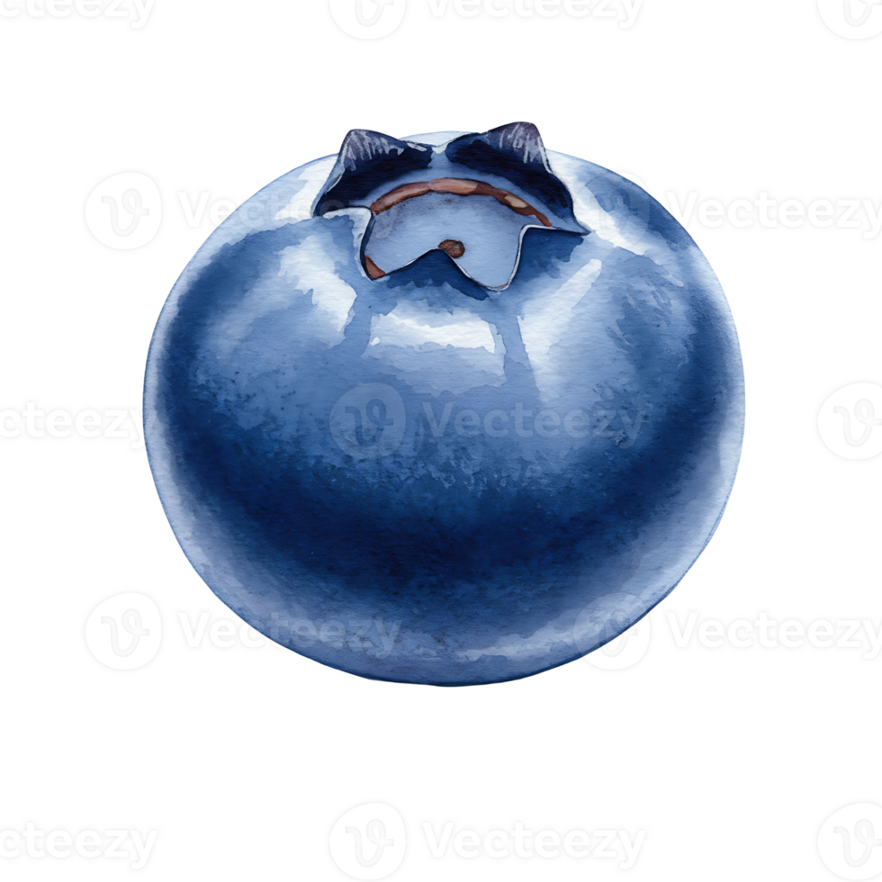 A Watercolor blueberry with a smooth surface and a distinctive crown against a plain backdrop on transparent background png
