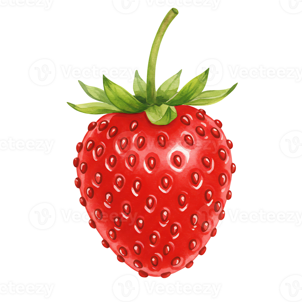 A Watercolor vibrant red strawberry with green leaves on an isolated plain background image view on transparent background png