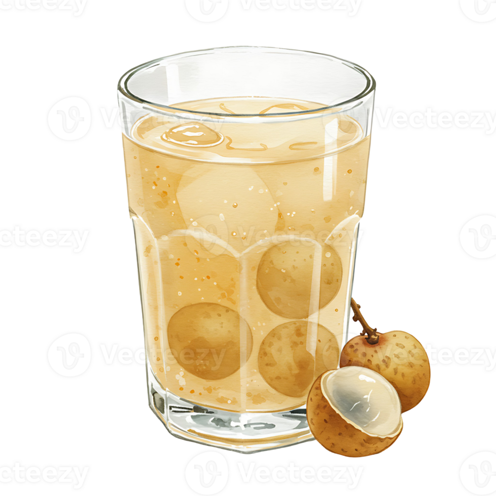 A Watercolor filled with a reWatercoloring beverage and longan fruits beside it on a plain backdrop view style on transparent background png