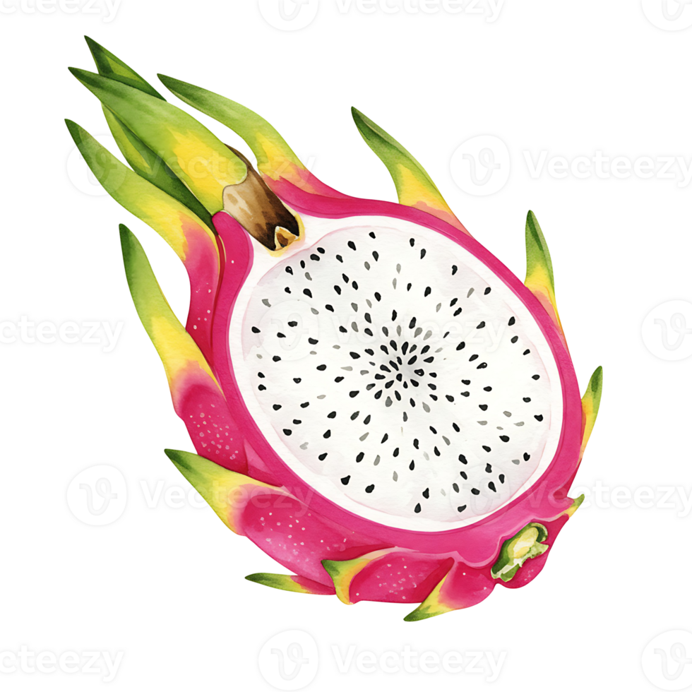 A close up view of a sliced dragon fruit with white flesh and small seeds on a plain setting on transparent background png