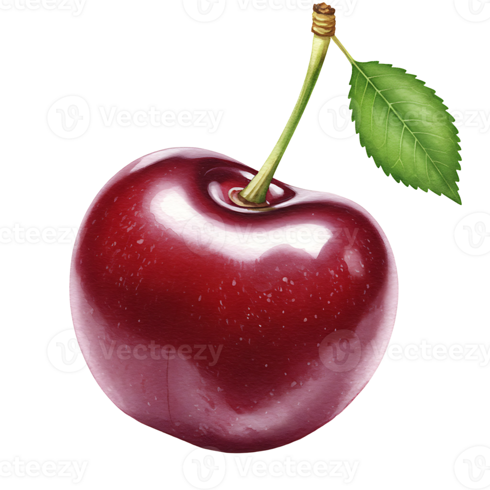 A Watercolor cherry with a stem and leaf against a plain backdrop in a studio setting for advertising use on transparent background png