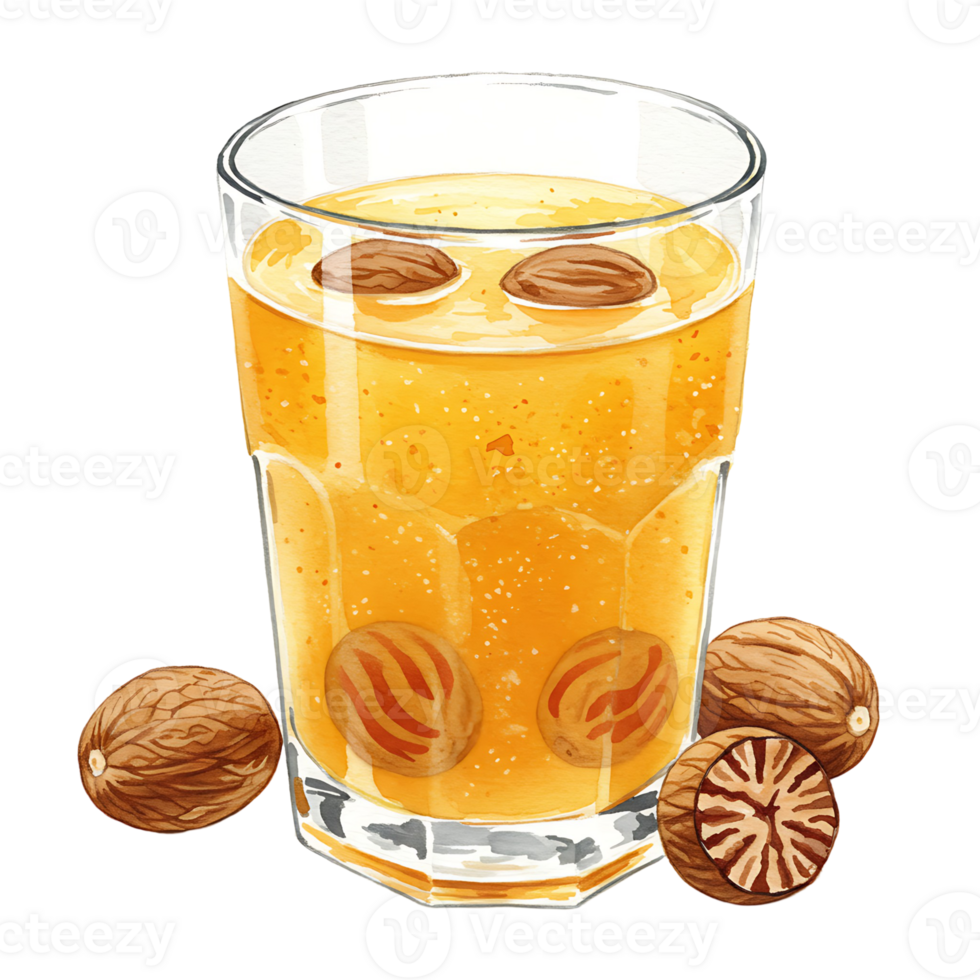 A Watercolor of orange liquid with spices floating inside and spices next to the Watercolor on the surface on transparent background png
