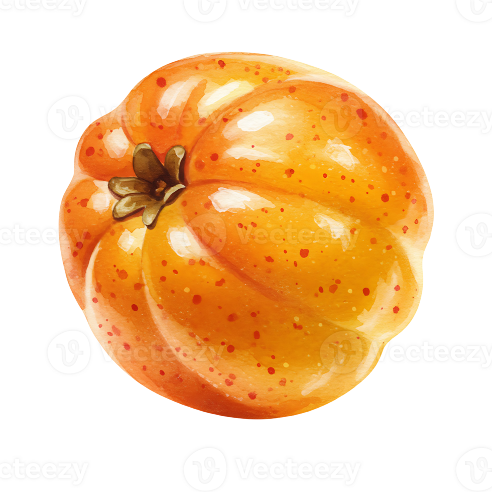 A Watercolor orange colored fruit with red spots and a stem on a plain color rendered background on transparent background png