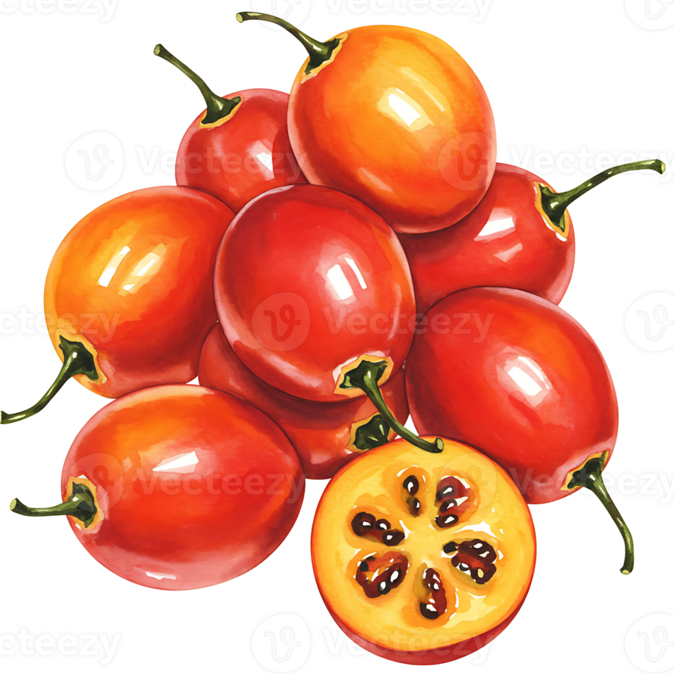 A Watercolor of tamarillo fruits with one cut in half displaying the inner seeds and pulp on a plain space on transparent background png