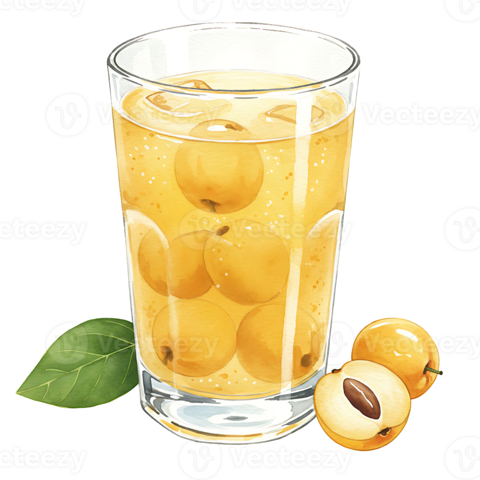 A Watercolor of reWatercoloring fruit juice with whole fruits and a sliced fruit on the side with a green leaf on transparent background png