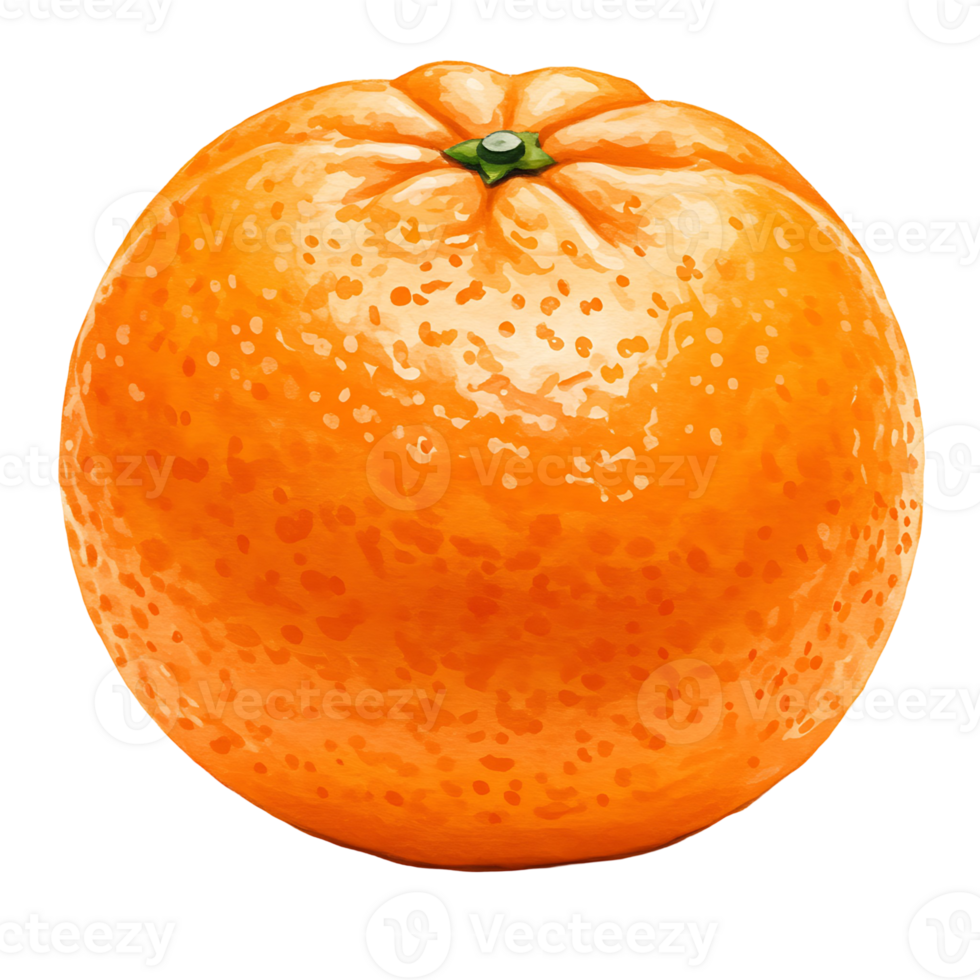 A vibrant and textured orange fruit isolated against a plain surrounding space in close up view on transparent background png