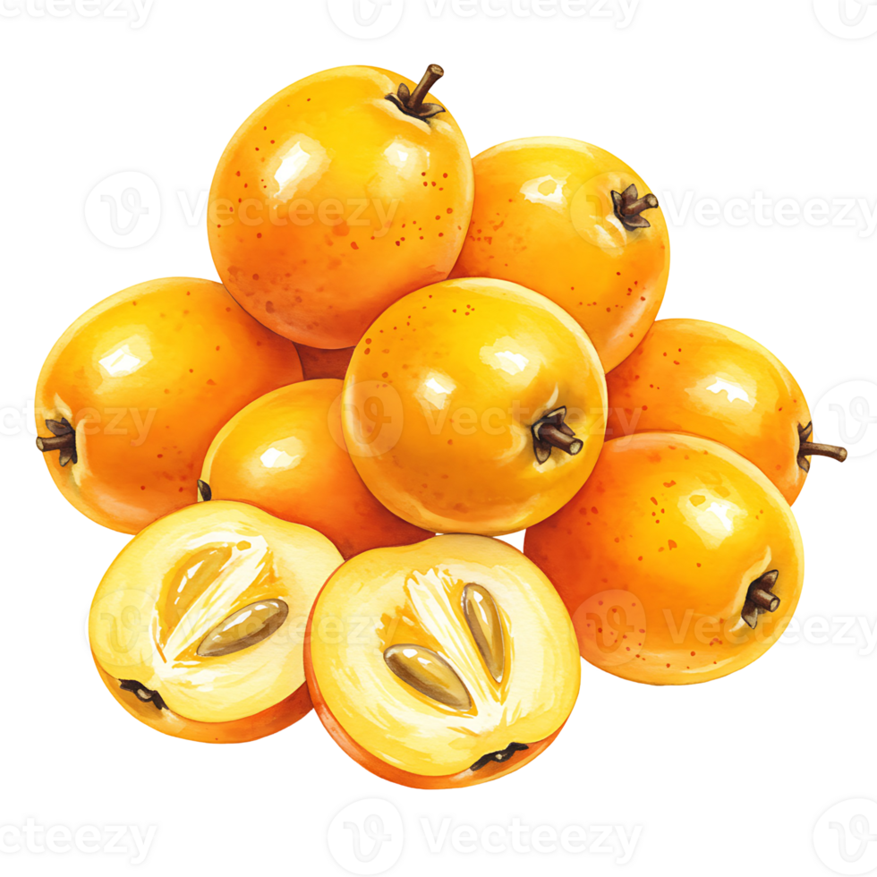 A Watercolor of loquats stacked together with two halves showing the seeds and pulp on a solid color on transparent background png