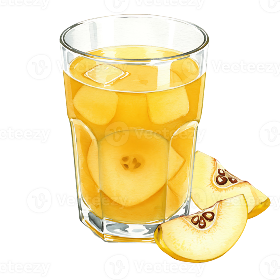 A reWatercoloring beverage with fruit slices and ice cubes in a clear Watercolor on a plain setting shown here on transparent background png