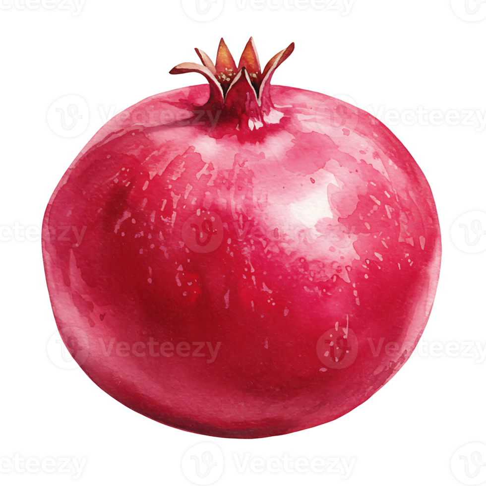 A Watercolor pomegranate with a crown on top in a watercolor style against a plain and simple setting shown on transparent background png