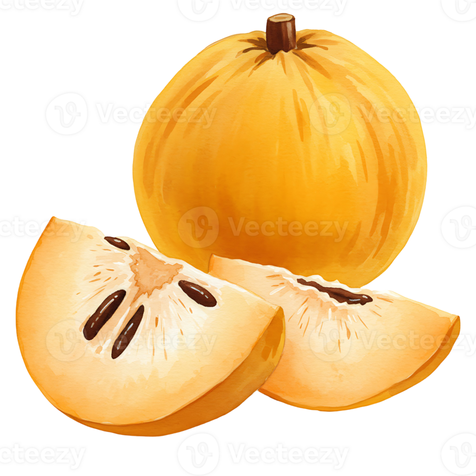 A still life of a canistel fruit with slices showing seeds on a plain setting in a digital painting style on transparent background png