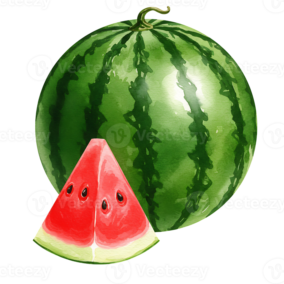 A whole watermelon and a slice with seeds on a plain backdrop in a watercolor style design art on transparent background png