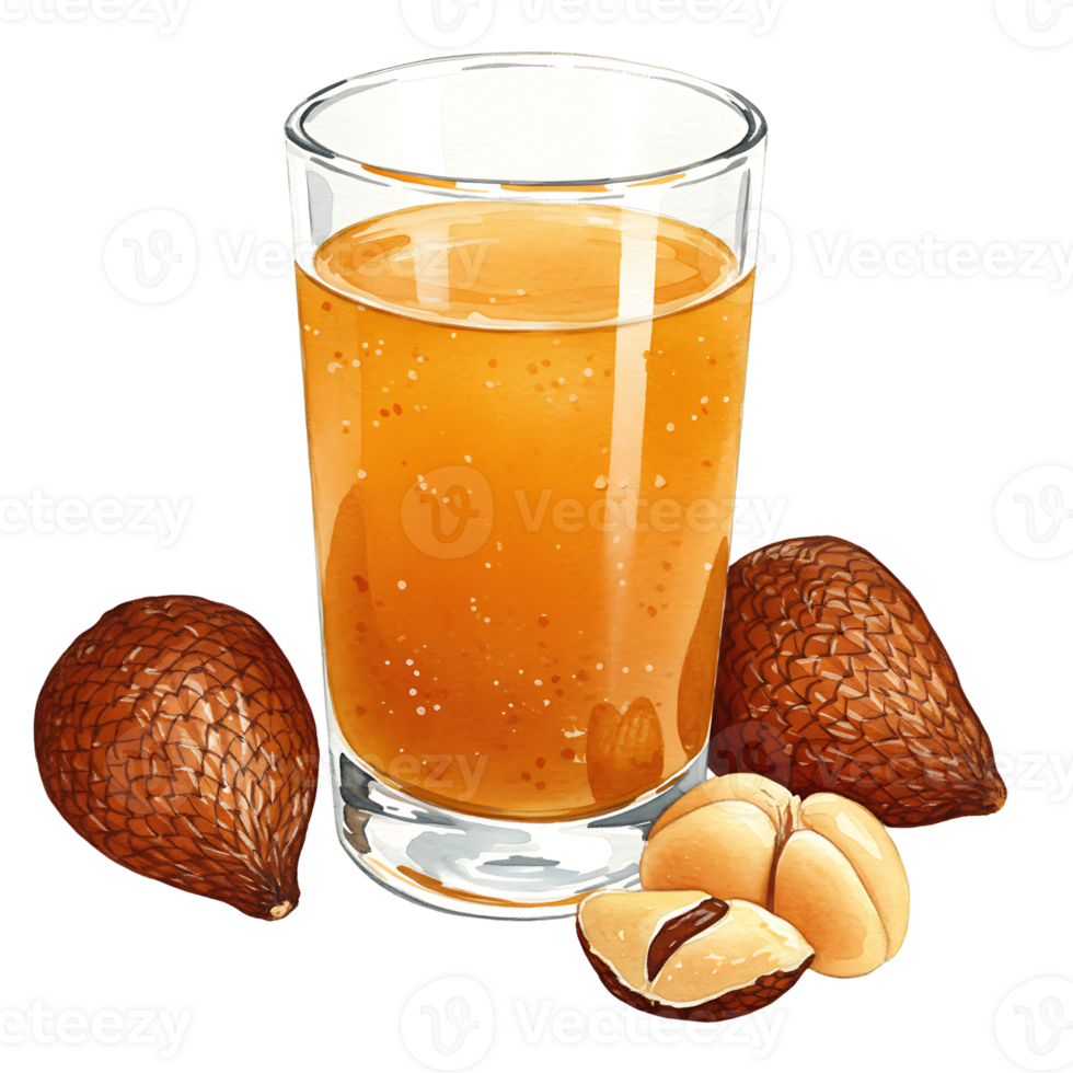 A Watercolor of juice with salak fruit and peeled salak fruit pieces arranged around the Watercolor container on transparent background png