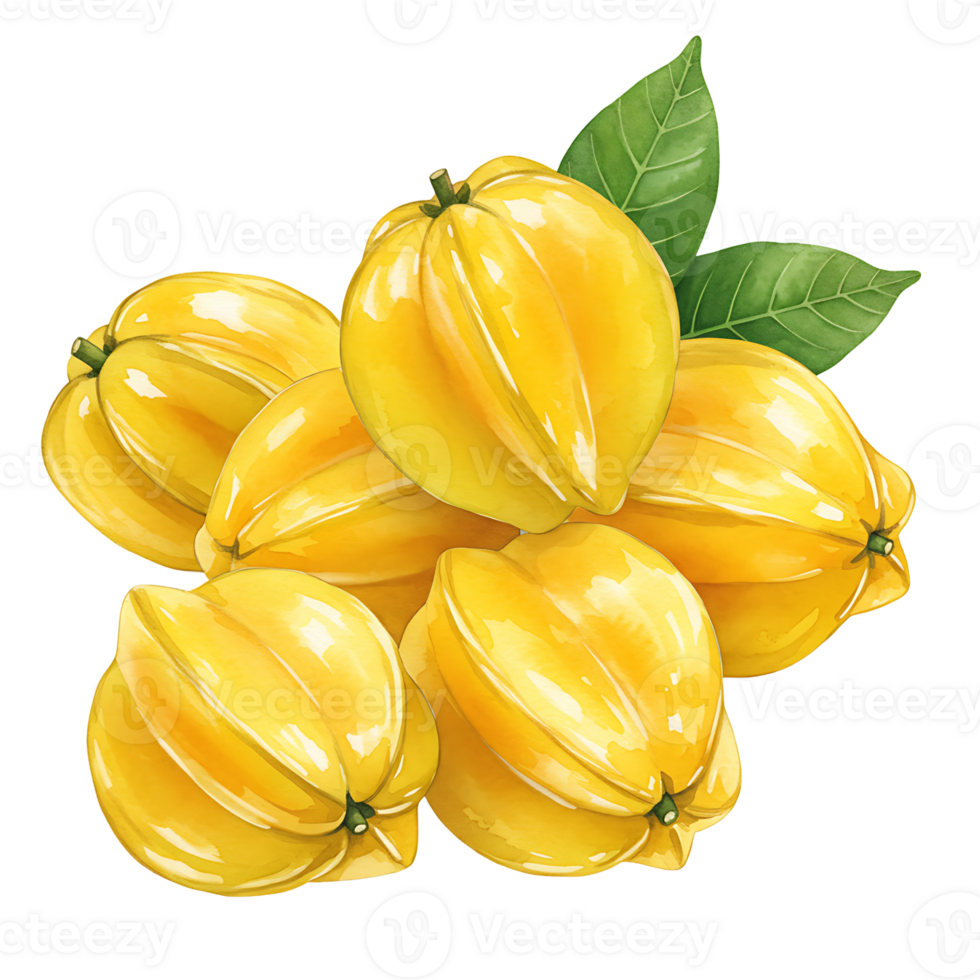 A Watercolor of vibrant yellow star fruits arranged together with some green leaves on a plain setting on transparent background png