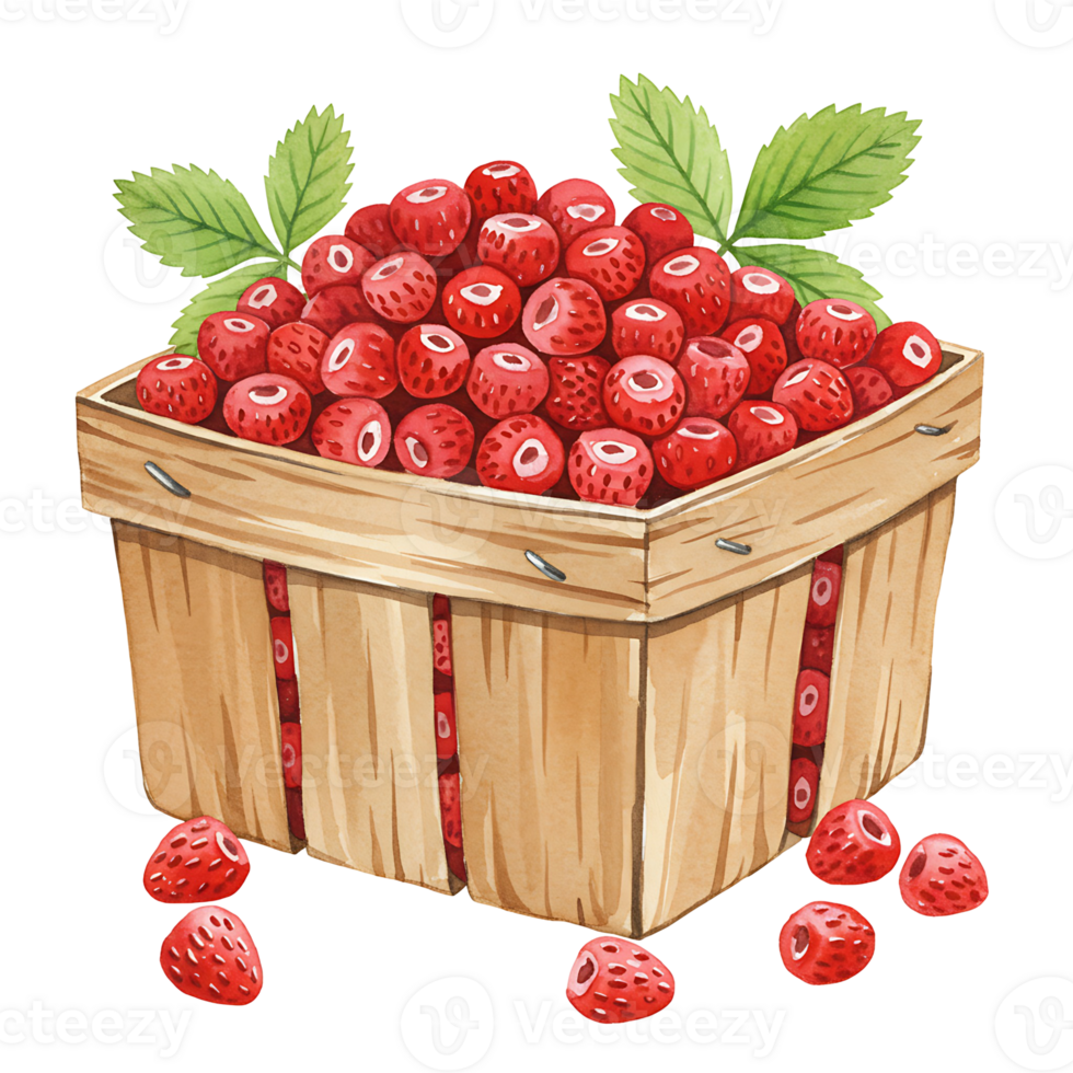 A Watercolor basket filled with many small red berries and green leaves on a plain color background image on transparent background png