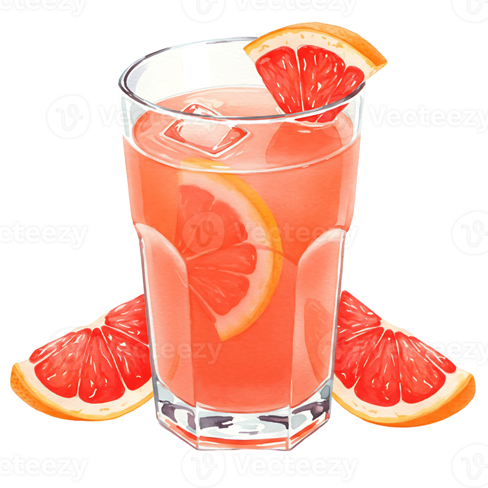 A reWatercoloring beverage with grapefruit slices and ice cubes in a clear Watercolor on a plain setting on transparent background png